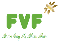 Logo FVF